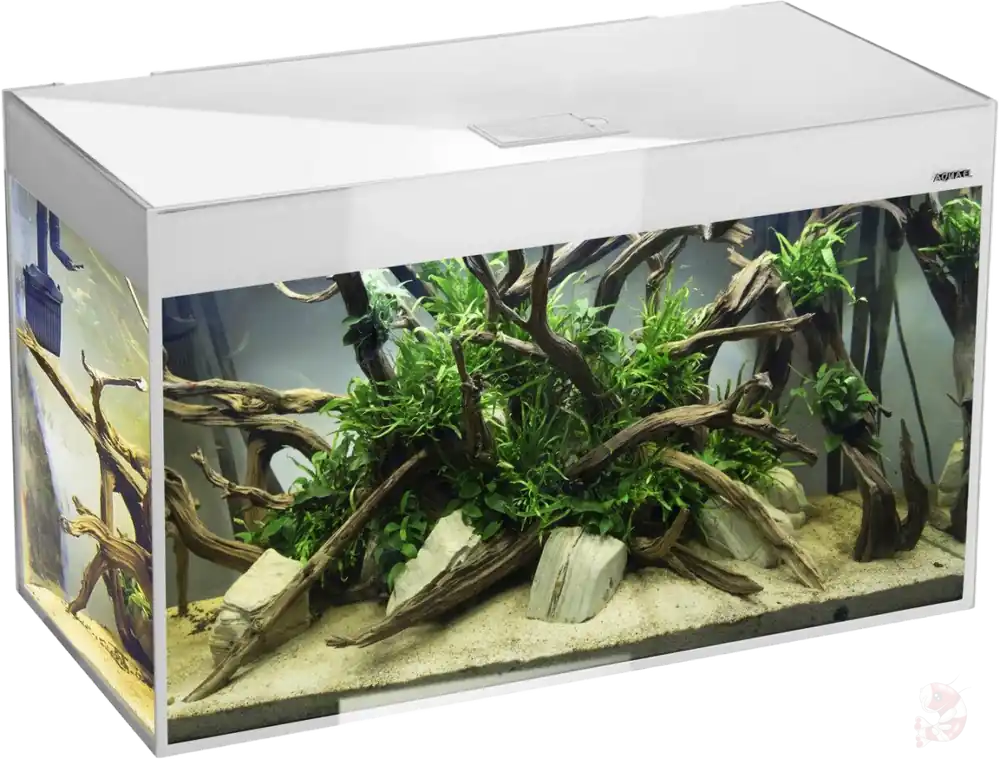 Sale Aquael Aquarienset Glossy 150 Day & Night weiß | 405 l Aquarium mit LED Glossy 80 weiß - 125 L - 80 x 35 x 54 cm