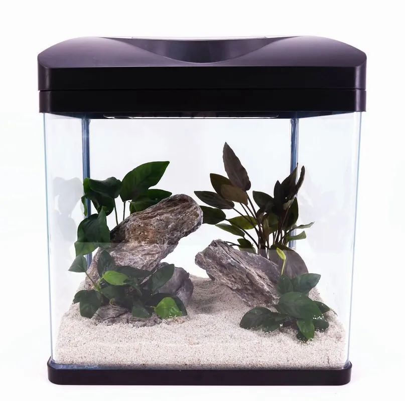 Kracherpreis Nano Aquarium Laguna in schwarz Komplettaquarium +LED Beleuchtung +Filteranlage