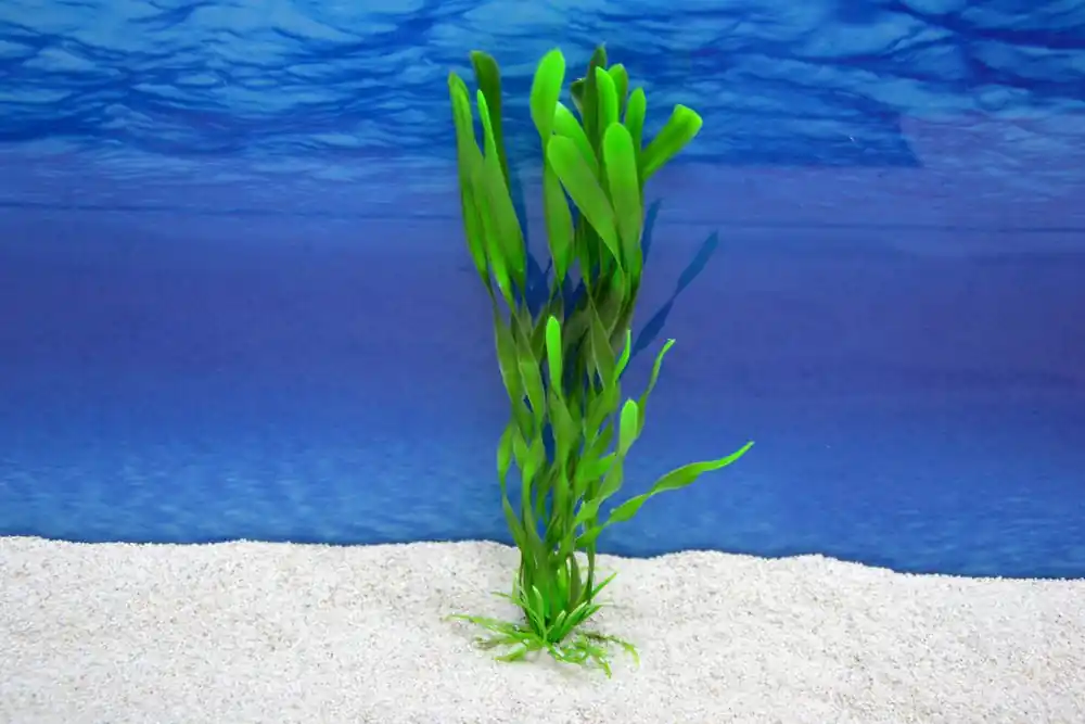 Amtra Valisneria L 26 cm – Künstliche Pflanze Aquarium Neu Im Sortiment