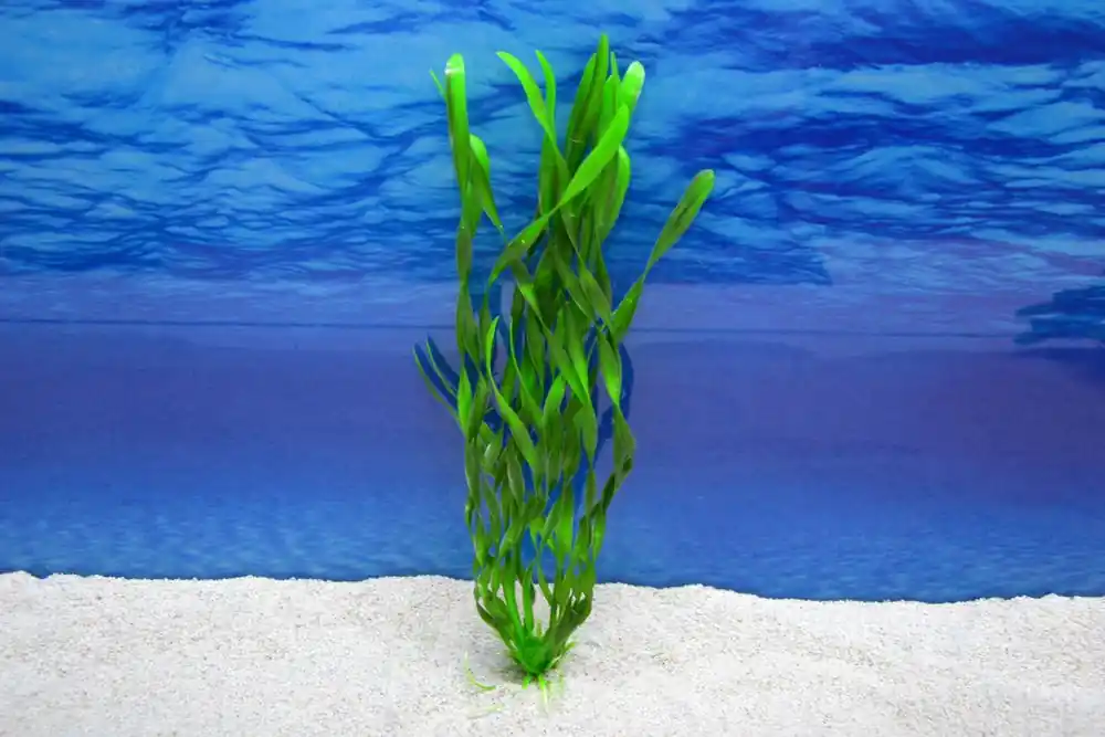 Amtra Valisneria XL 35 cm – Künstliche Aquarium-Deko Mega-Angebot