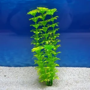 Amtra Cabomba M 20cm – Künstliche Pflanze für Aquarien-Dekoration Direktkauf