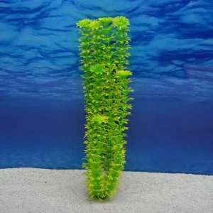 Geprüft Amtra Cabomba XL 36cm – Künstliche Pflanze für Aquarien-Dekoration