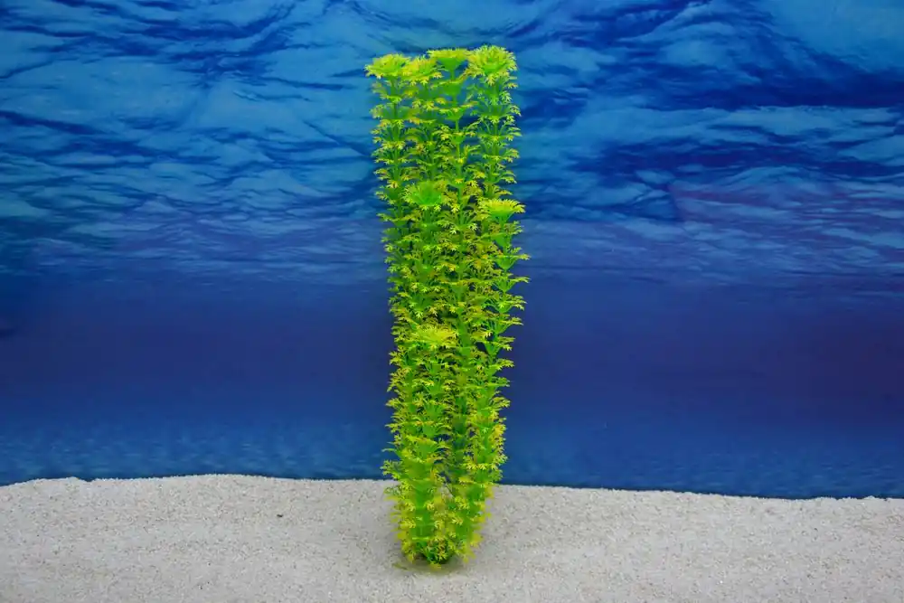 Geprüft Amtra Cabomba XL 36cm – Künstliche Pflanze für Aquarien-Dekoration