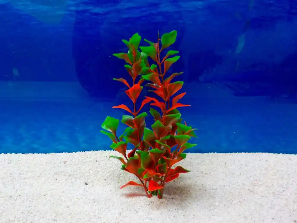 Direkt Vom Hersteller Amtra Ludwigia M 17 cm – Künstliche Aquarium-Pflanze