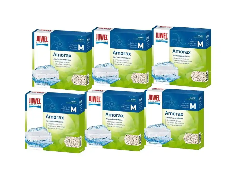 Juwel Amorax M 6er Pack Ammoniumentferner Zeolith verhindert Ammoniak fördert Vitalität Knallerangebot