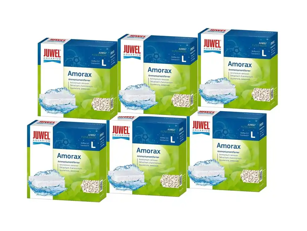 Juwel Amorax L 6er Pack Ammoniumentferner Zeolith verhindert Ammoniak fördert Vitalität Aktuell