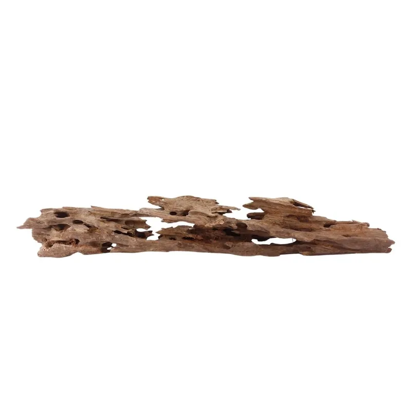 XL Honey Comb Wurzel Nr.1940 Holz Deko Aquascaping Expressversand