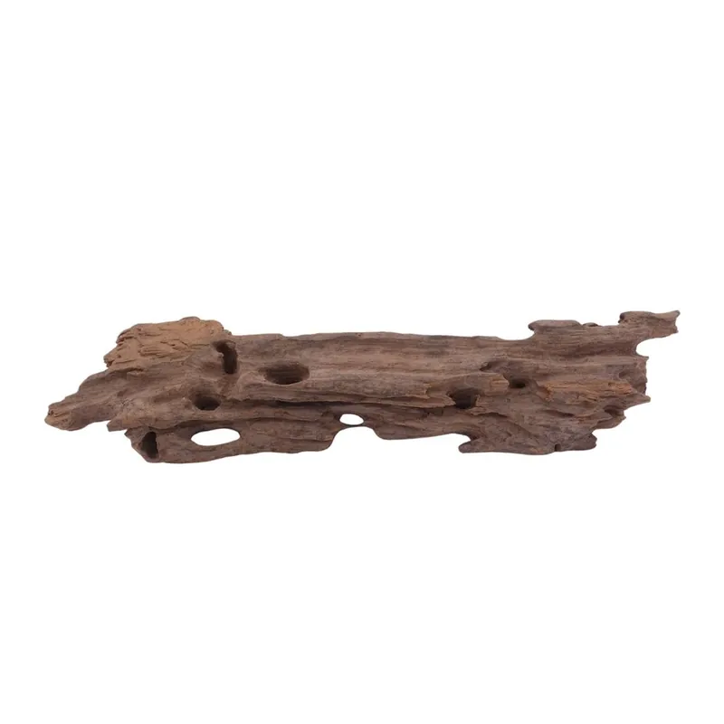 Begrenztes Angebot M Honey Comb Wurzel Nr.3767 Holz Deko Aquascaping