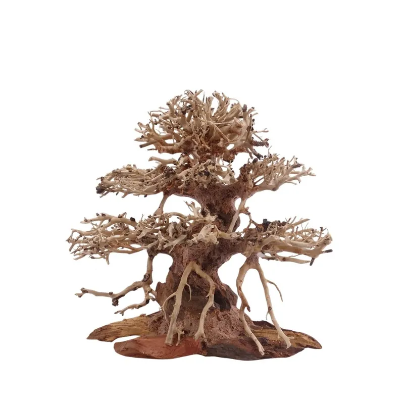 Begrenztes Angebot Premium Bonsai Baum M 20x12x20 cm Wurzel Holz Aquarium Deko Aquascaping