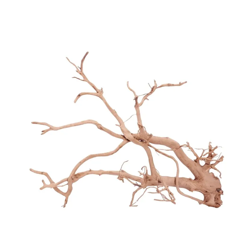 XXL Moorkienwurzel Nr.4304 Holz Deko Aquascaping Bestpreis