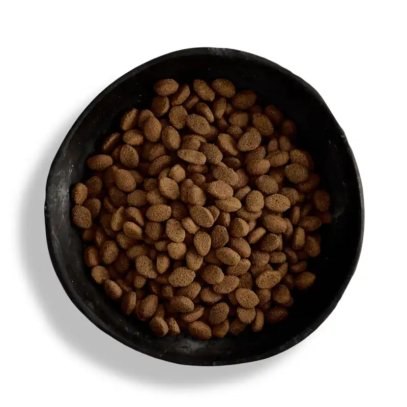 Canagan Country Game Dogs 12 Kilogramm Hundetrockenfutter Direktkauf