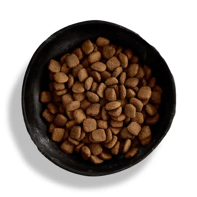 Markenware Canagan Meadow Lamb Dogs 12 Kilogramm Hundetrockenfutter