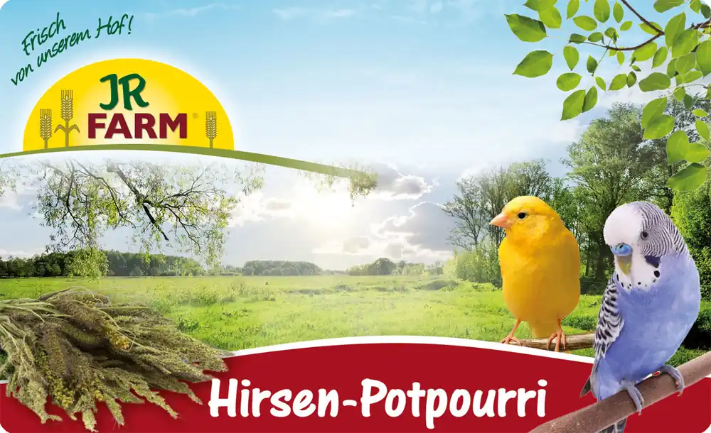 JR FARM Hirsen-Potpourri 50g Vogelsnack Abverkauf