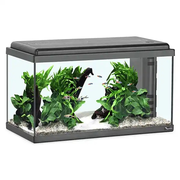 aquatlantis Advance 60 LED Set schwarz Direkt Vom Hersteller