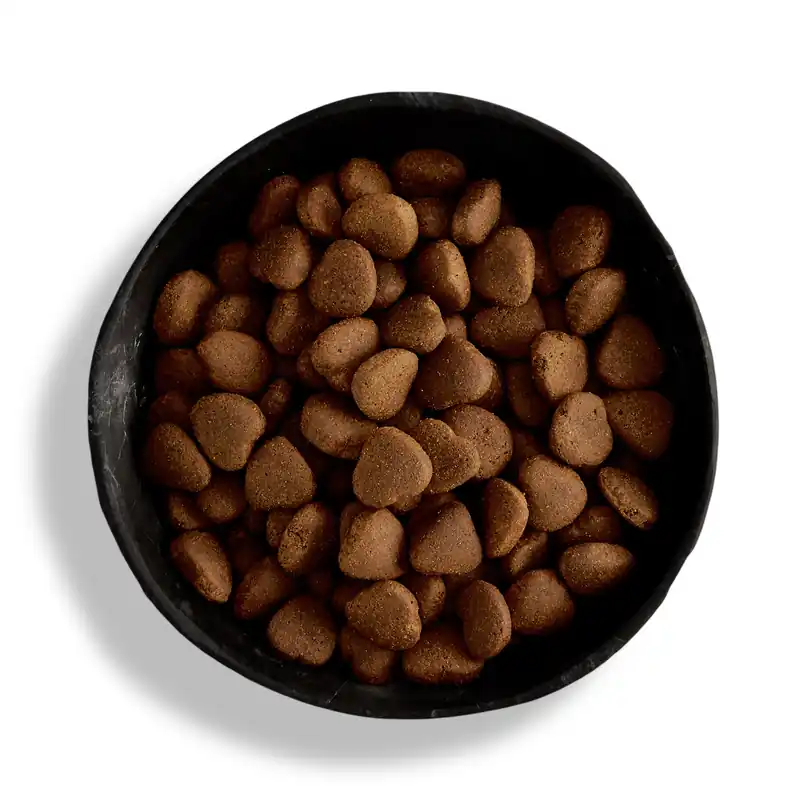Neuheit Sparpaket 2 x 12 kg Canagan Free Range Chicken Large Breeds Hunde Trockenfutter