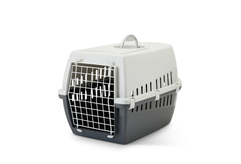 SAVIC Trotter 3 Transportbox anthrazit/grau Knallerangebot