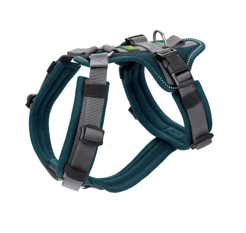 Super-Preis Hunter Geschirr Sicherheit Maldon XS / 34 - 49 Centimeter petrol Hundegeschirr
