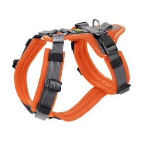 Preiswert Hunter Geschirr Sicherheit Maldon XS / 34 - 49 Centimeter orange Hundegeschirr