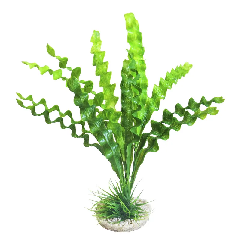 Sofort Bestellen Sydeco Echinodorus Plant