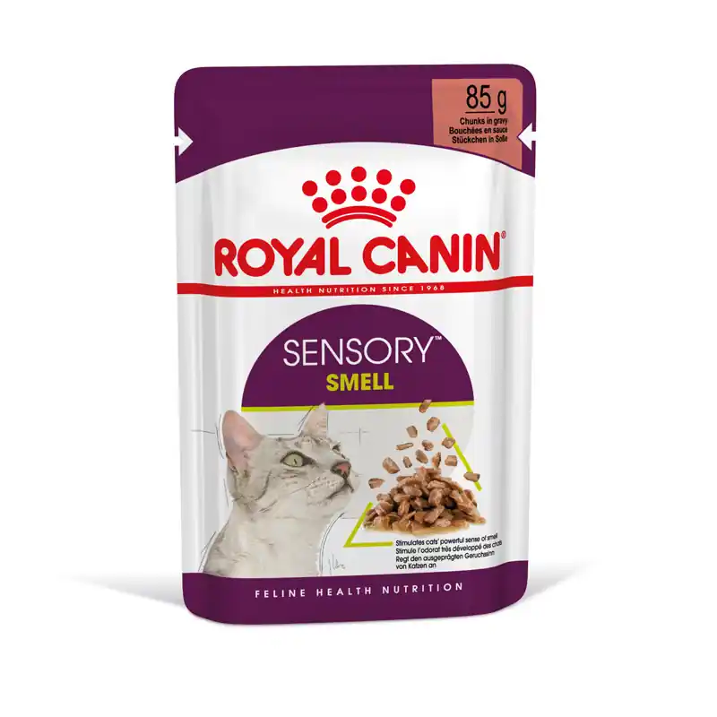 Neuheit ROYAL CANIN FHN Sensory Smell Gravy 85g