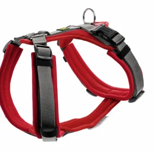 Sonderaktion HUNTER Geschirr Maldon Up 34-49 / XS rot/grau