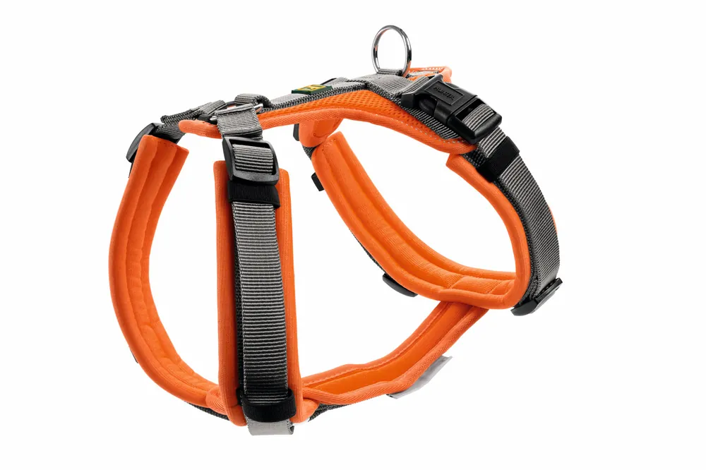 Beliebt HUNTER Geschirr Maldon Up 34-49 / XS orange/grau