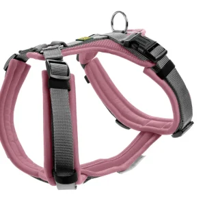 HUNTER Geschirr Maldon Up 37-53 / XS-S altrosa/grau Sonderangebot