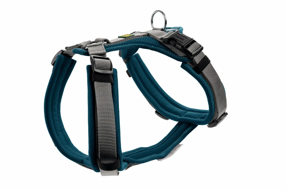 HUNTER Geschirr Maldon Up 37-53 / XS-S petrol/grau Nur Für Kurze Zeit