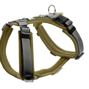 HUNTER Geschirr Maldon Up 37-53 / XS-S olive/grau Finale Aktion