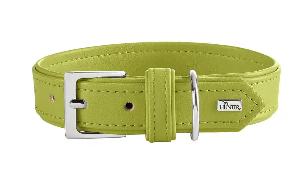 HUNTER Halsband Amalfi 35/XS grün Preiswert