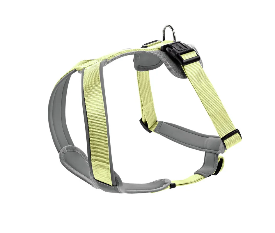 HUNTER Geschirr Neopren 60-76/M matcha/grau Top-Preis