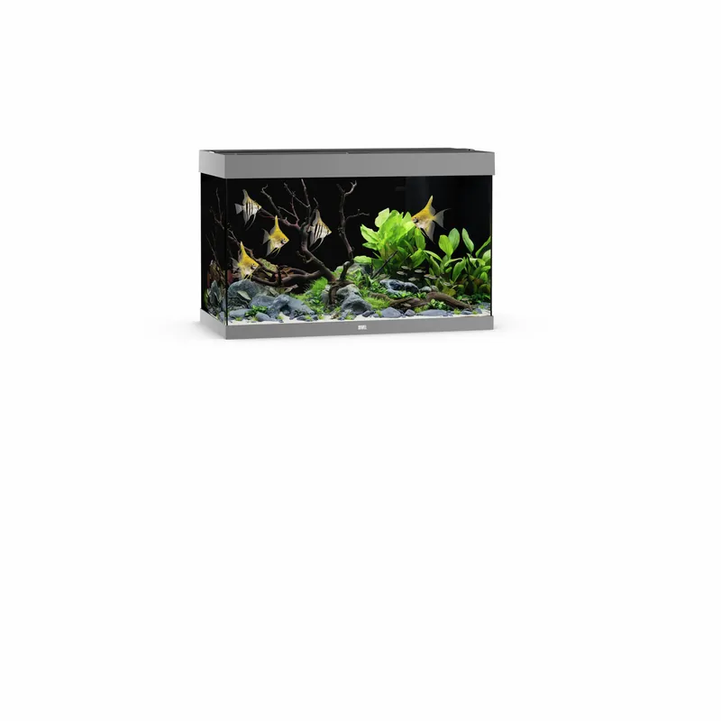 Ausverkauf JUWEL Rio 290 LED grau Aquarium
