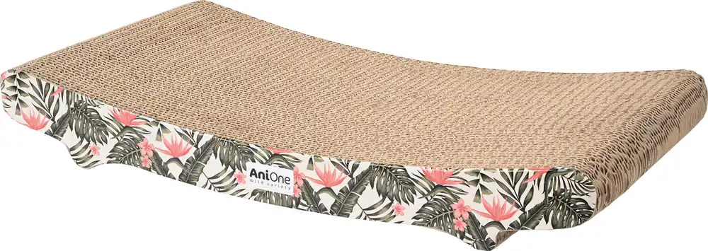 Jetzt Bestellen AniOne Kratzpappe Tropical Fun