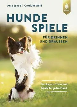 Ulmer Hundespiele für drinnen und draußen Jetzt Kaufen