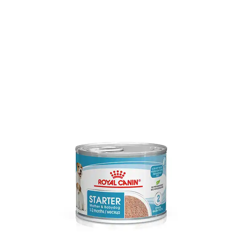 Top-Preis ROYAL CANIN Starter Mousse 195 g