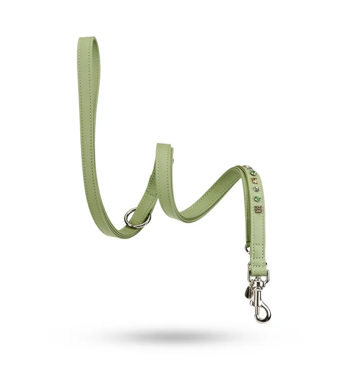 Preisknaller MALUCCHI Hundeleine Petra Soft Minze 200 x 2.0 cm