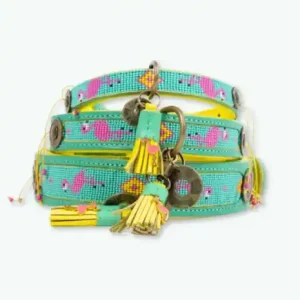 DWAM Halsband Chogogo XXS 2 cm breit Neue Kollektion