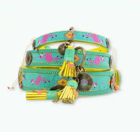 DWAM Halsband Chogogo XXS 2 cm breit Neue Kollektion