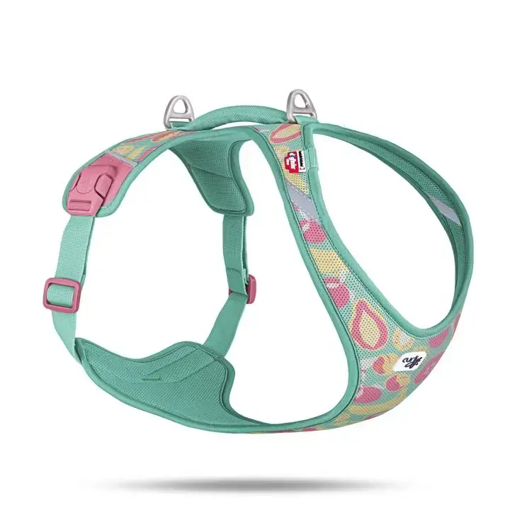 Belka Harness Air-Mesh Juicy Fruits Turquoise XL Sichere Zahlung