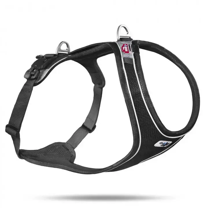 Curli – MAGNETIC BELKA COMFORT GESCHIRR BLACK XS Solange Der Vorrat Reicht