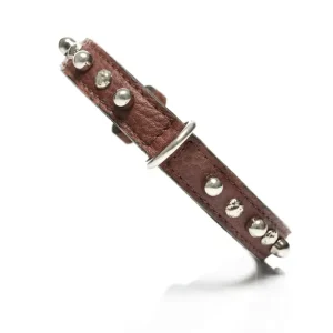 MALUCCHI Halsband Bullet Braun 2 cm 35 Expressversand