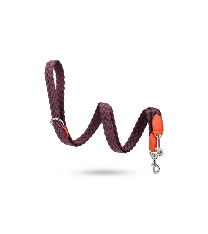 Jetzt Kaufen MALUCCHI Hundeleine Braid Trekker Orange-Braun