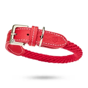 MALUCCHI Halsband Trekker Rot XL 70 cm Günstig