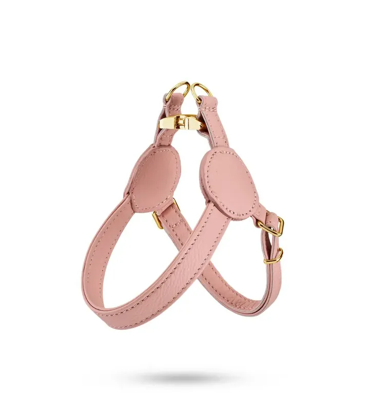 MALUCCHI Geschirr Movie Pure Pink Gold 0 Preis Gesenkt