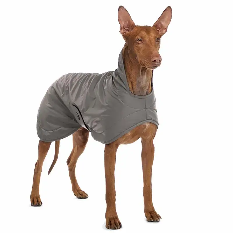 Aktuell Sofa Dog Wear Hundemantel Garp Grau S2