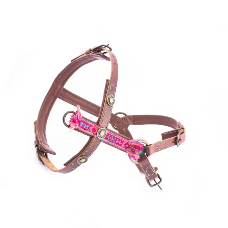 DWAM Geschirr Boho Rosa XXS Schnäppchen